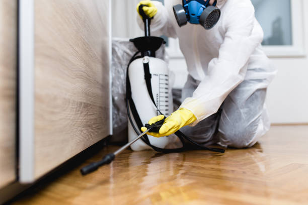 Best Local Pest Control Services  in Madera, CA