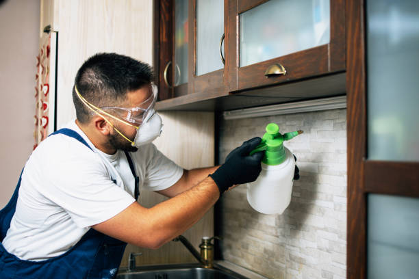 Best Affordable Pest Control Services  in Madera, CA