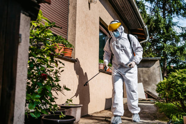 Best Best Pest Control Companies  in Madera, CA