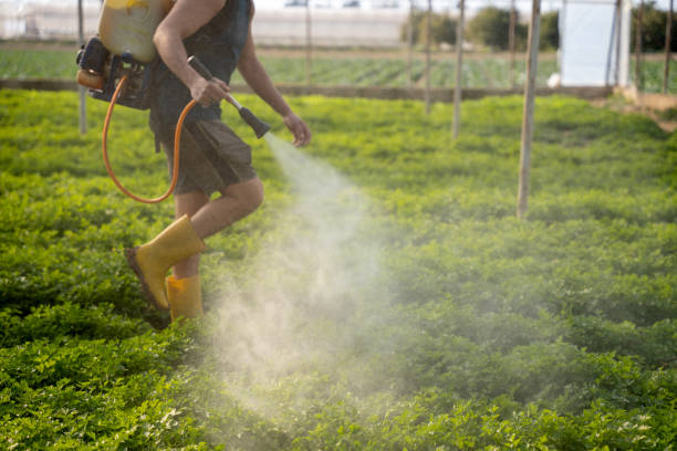 Pest Control for Restaurants in Madera, CA