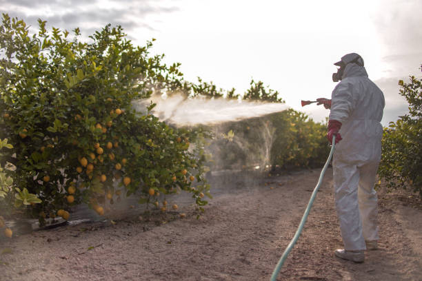 Best Bird Control  in Madera, CA