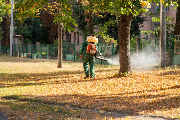 Best Pest Prevention Services  in Madera, CA