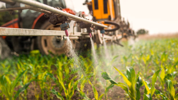 Best Mosquito Control Services  in Madera, CA