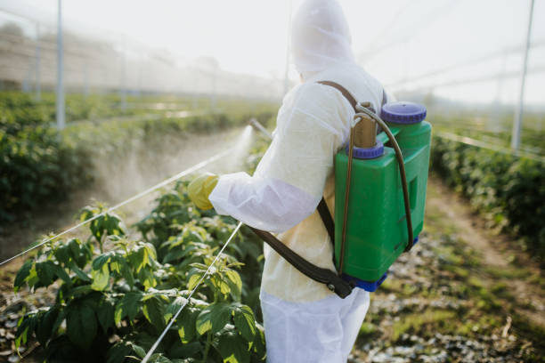 Best Mosquito Control Services  in Madera, CA